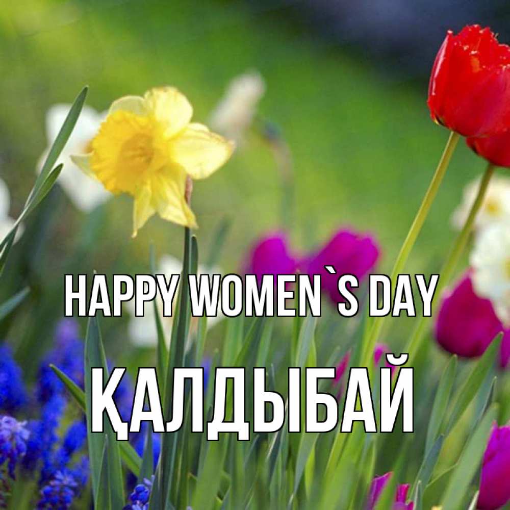 Greetings card с именем, Қалдыбай happy women`s day международный женский день 3 Greetings with text for free download 